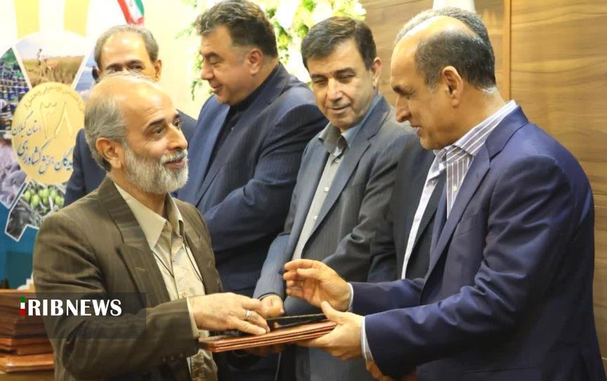نسیم گیلان