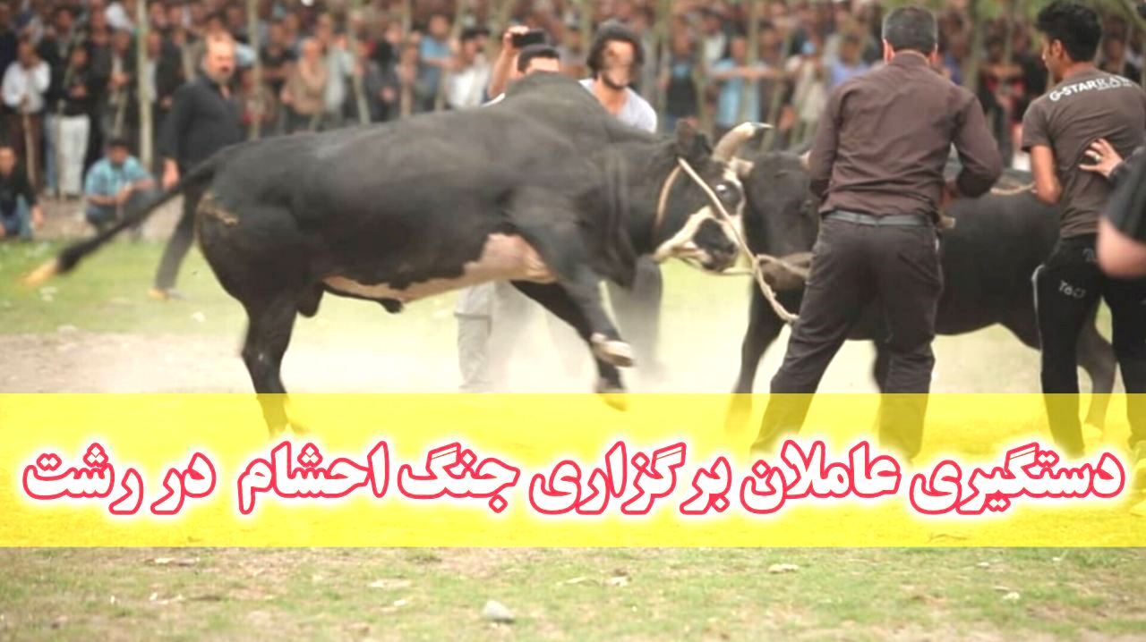 نسیم گیلان