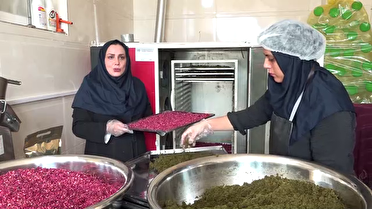 تولید و درآمدزایی با همت بانوی کارآفرین گیلانی