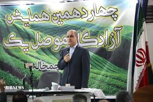 نسیم گیلان