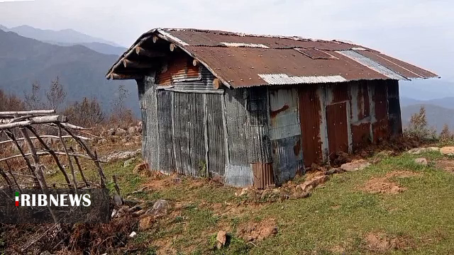 نسیم گیلان