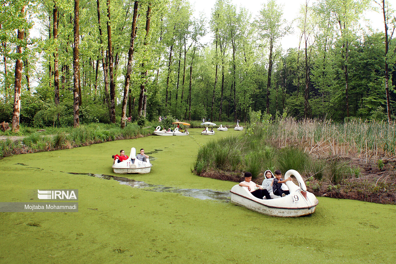 دمای گیلان افزایش می‌یابد