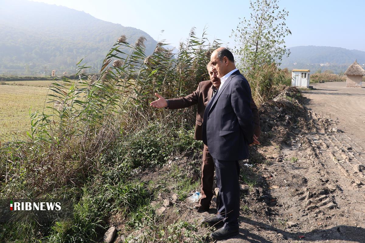 نسیم گیلان