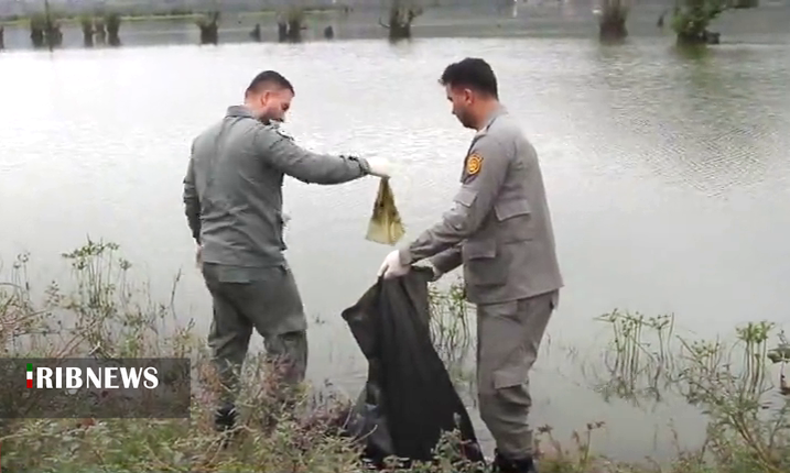 نسیم گیلان