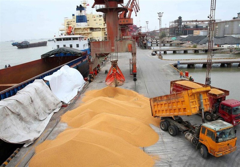 ورود سازمان بازرسی به معضل کمبود نهاده‌های دامی