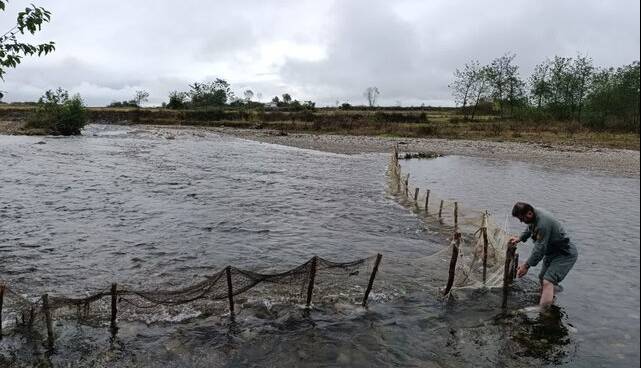 جمع‌آوری سد غیرمجاز ماهیگیری در رودخانه ناورود تالش
