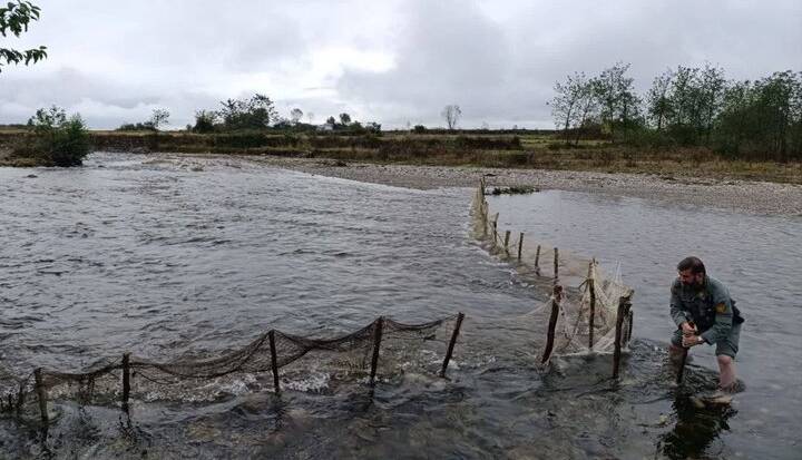 سد غیرمجاز ماهیگیری در رودخانه ناورود تالش جمع آوری شد