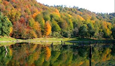 هوای گیلان از فردا آفتابی می‌شود