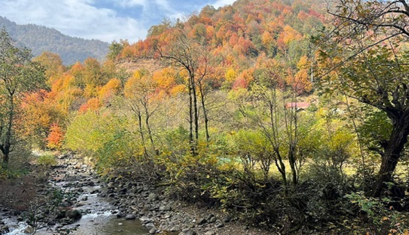 پایداری هوای پاییزی در گیلان