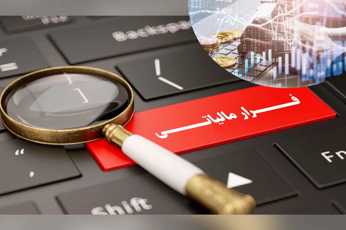 سازمان مالیاتی: سوت‌زن‌ها 730 میلیون تومان پاداش گرفتند