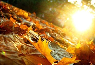 تداوم پایداری هوای نیمه‌های پاییز در گیلان