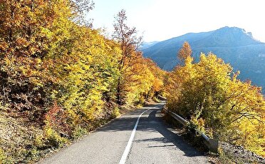 آفتاب مطبوع پاییزی گرما بخش هوای گیلان