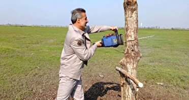 حفاظت از گونه‌های جانوری شهرستان خمام با تخریب تله‌های شکار پرندگان