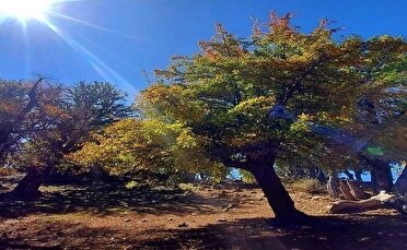 استقرار جوی پایدار چند روز آینده در گیلان