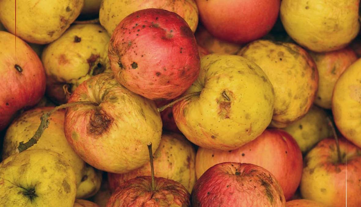 اختلال در سامانه گمرکی هزار تن سیب و موز را در معرض فساد قرار داد