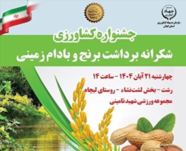 لشت نشا فردا میزبان جشنواره بادام زمینی و برنج