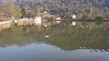 ۹ هزار هکتار پهنه آبی گیلان فرصتی ارزشمند برای تامین آب کشاورزی استان