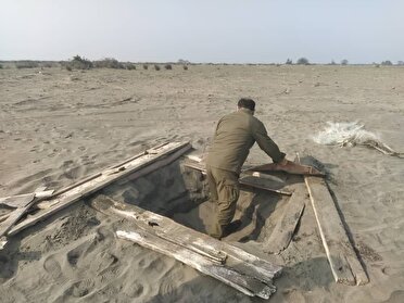 جمع‌آوری تله‌های زنده‌گیری پرندگان شکاری در پارک ملی بوجاق