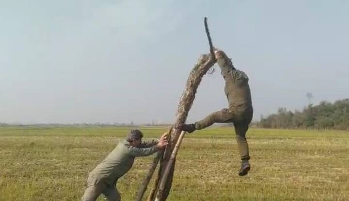 تله‌های زنده‌ گیری پرندگان شکاری در پارک بوجاق جمع آوری شد