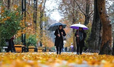 وزش شدید باد فردا دوشنبه در گیلان