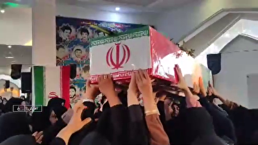 میزبانی مردم گیلان از لاله های سرخ وطن