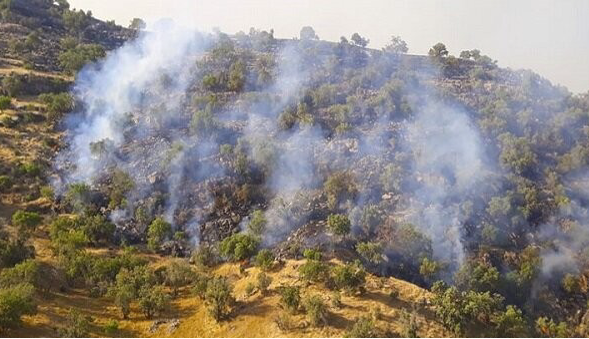 حریق دوهکتاری در جنگل های آستارا مهار شد