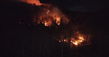 استاندار گیلان خبر داد:
مهار کامل آتش‌سوزی در ارتفاعات لوندویل آستارا