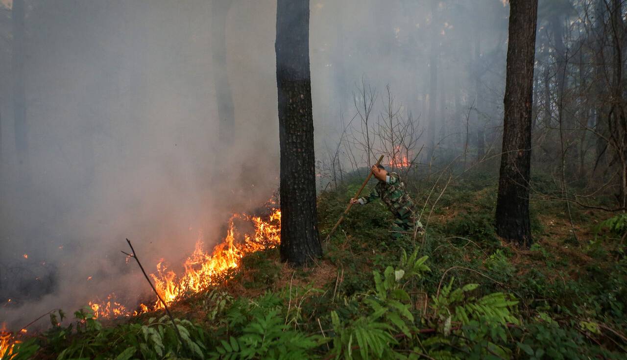 ۲ هکتار از جنگل‌های شاندرمن ماسال در آتش سوخت