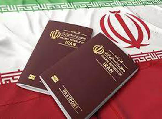 آخرین وضعیت اجرای قانون حمایت از ایرانیان خارج کشور