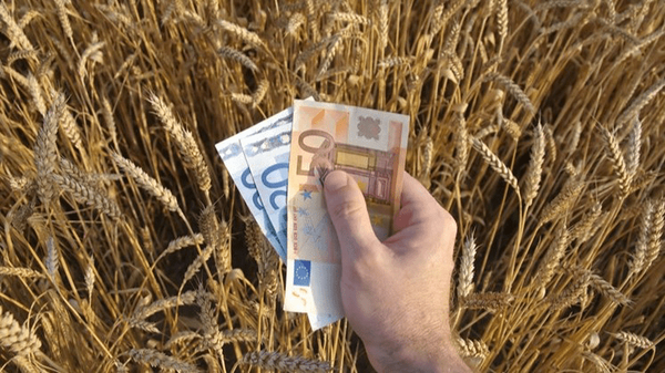 دلار ترجیحی کجا خرج می‌شود؟