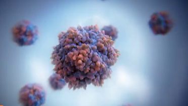 افزایش آنفولانزا در گیلان و لزوم توجه به توصیه های پزشکی