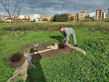 بازگشت ۵۰ قطعه سهره طلایی و چکاوک به زیستگاه‌های آستارا