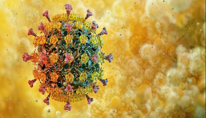 مقاومت آنفلوانزای پرندگان در برابر تب، دانشمندان را نگران کرد