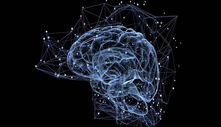 مداری پنهان در مغز دید بصری ما را بازنویسی می‌کند
