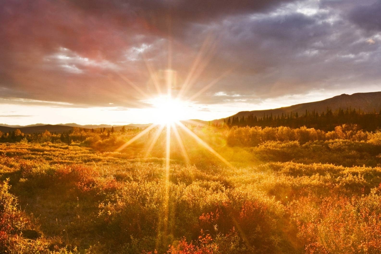 تقویم روز و اوقات شرعی گیلان، ۱۲ آذر ۱۴۰۴