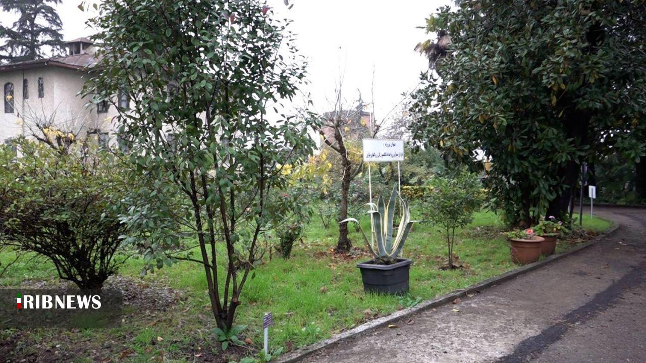 افتتاح باغ موزه گیاه شناسی گیلان در لاهیجان