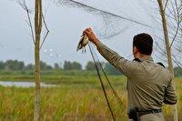 جمع آوری ادوات شکار در شهرستان لاهیجان