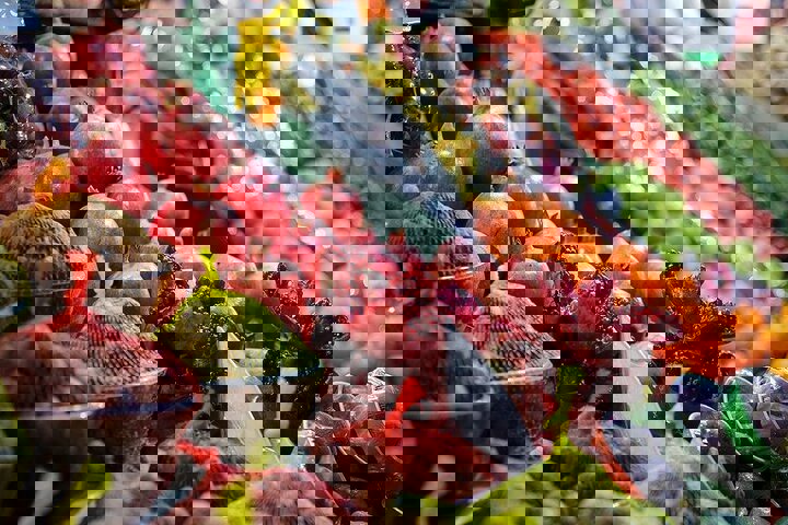 ارزان‌ترین و گران‌ترین میوه بازار شب یلدا