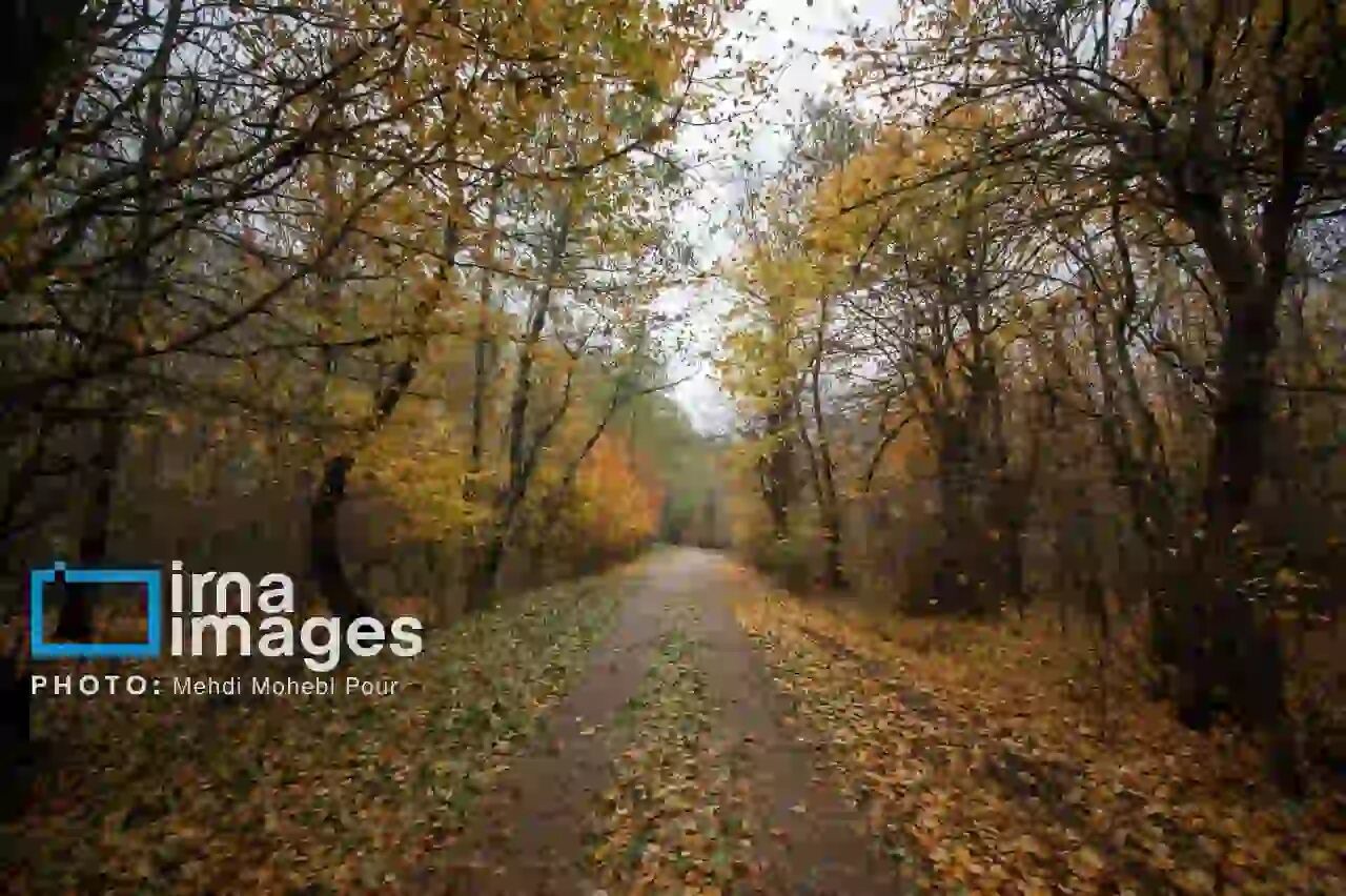 هشدار وزش باد؛ گیلان فردا دوباره بارانی می‌شود