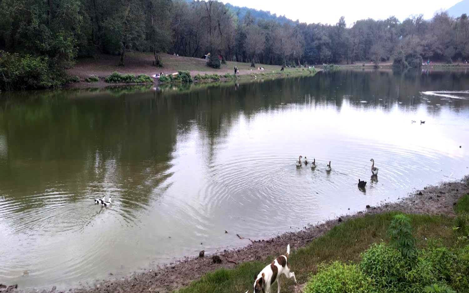 گونه گون شدن هوای زمستانی گیلان تا اواخر هفته