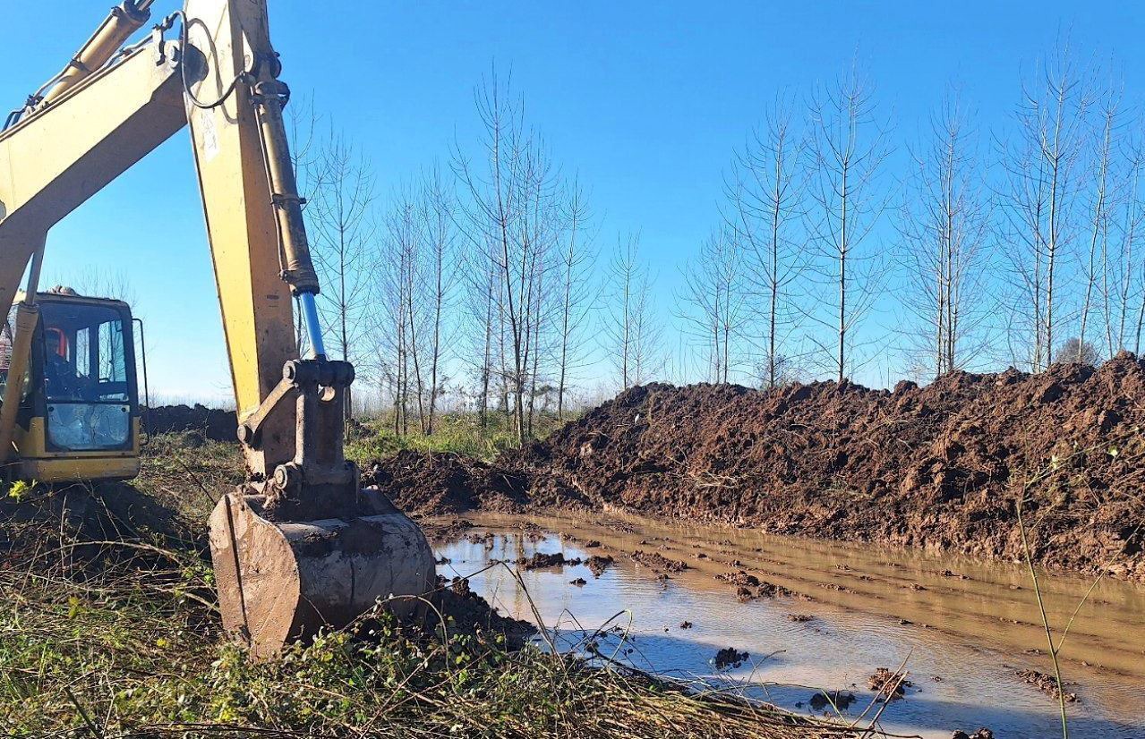 احیای آب بندان ۱۱ هکتاری در بخش رودبنه لاهیجان با هدف تامین آب زراعی