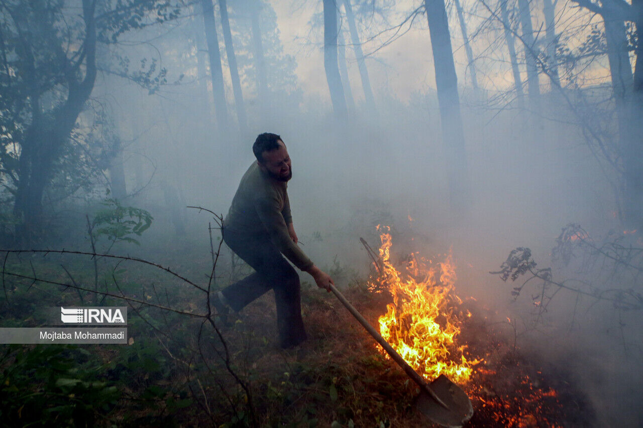 مدیرکل منابع طبیعی گیلان: ۱.۵ هکتار از عرصه های جنگلی شفت طعمه آتش شد