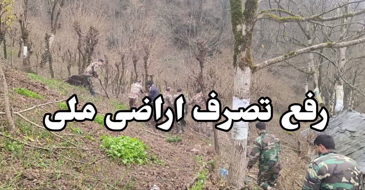 نسیم گیلان