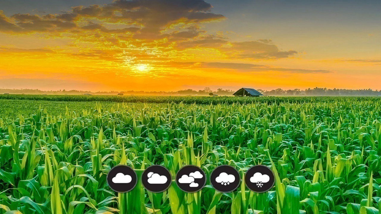 توصیه‌های هواشناسی برای کشاورزان گیلان