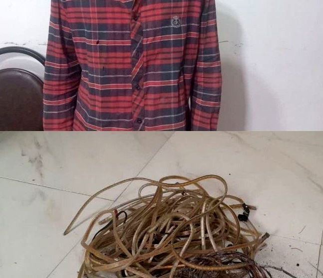 دستگیری سارق کابل برق با ۵ فقره سرقت در سیاهکل