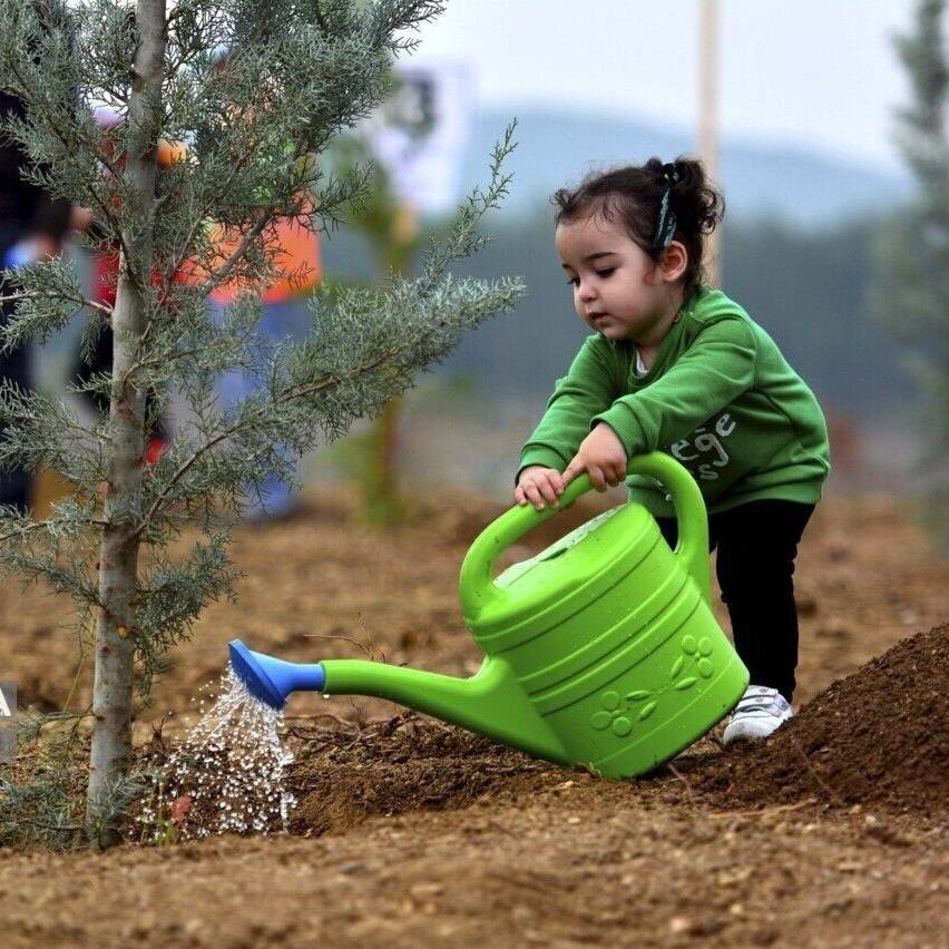 ۲۰۰ اصله درخت در پارک‌های رشت غرس شد