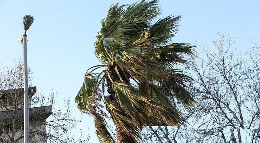 هوای بهاری در زمستان گیلان