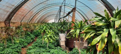 افتتاح ۴۳ طرح کشاورزی در گیلان در ایام دهه مبارک فجر