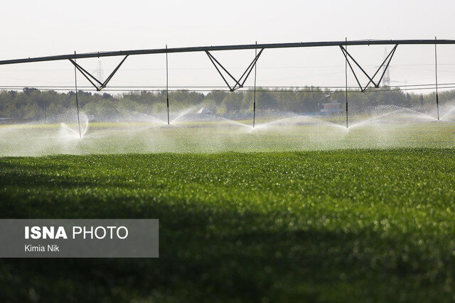 ایجاد اشتغال برای ۱۰۹۱ نفر در بخش کشاورزی گیلان