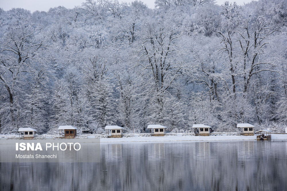 برف و کولاک؛ مهمان آخر هفته گیلان